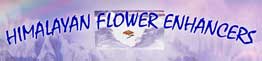 Saskia's Flower Essences - Indigo Essences logo